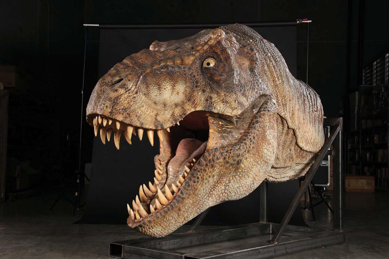 Pictures Of Jurassic Park Male T Rex Animatronic Highly Detailed Stan 