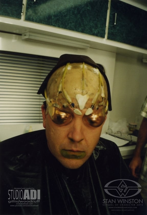 Image: https://us.v-cdn.net/5020761/uploads/editor/0p/x5xq2oye2vhs.jpg