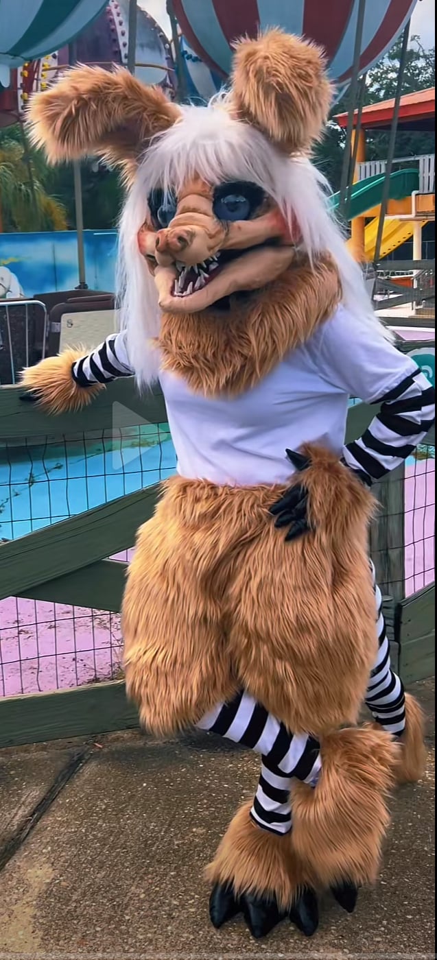 Image: https://us.v-cdn.net/5020761/uploads/editor/1q/0w9kbs8or866.jpg