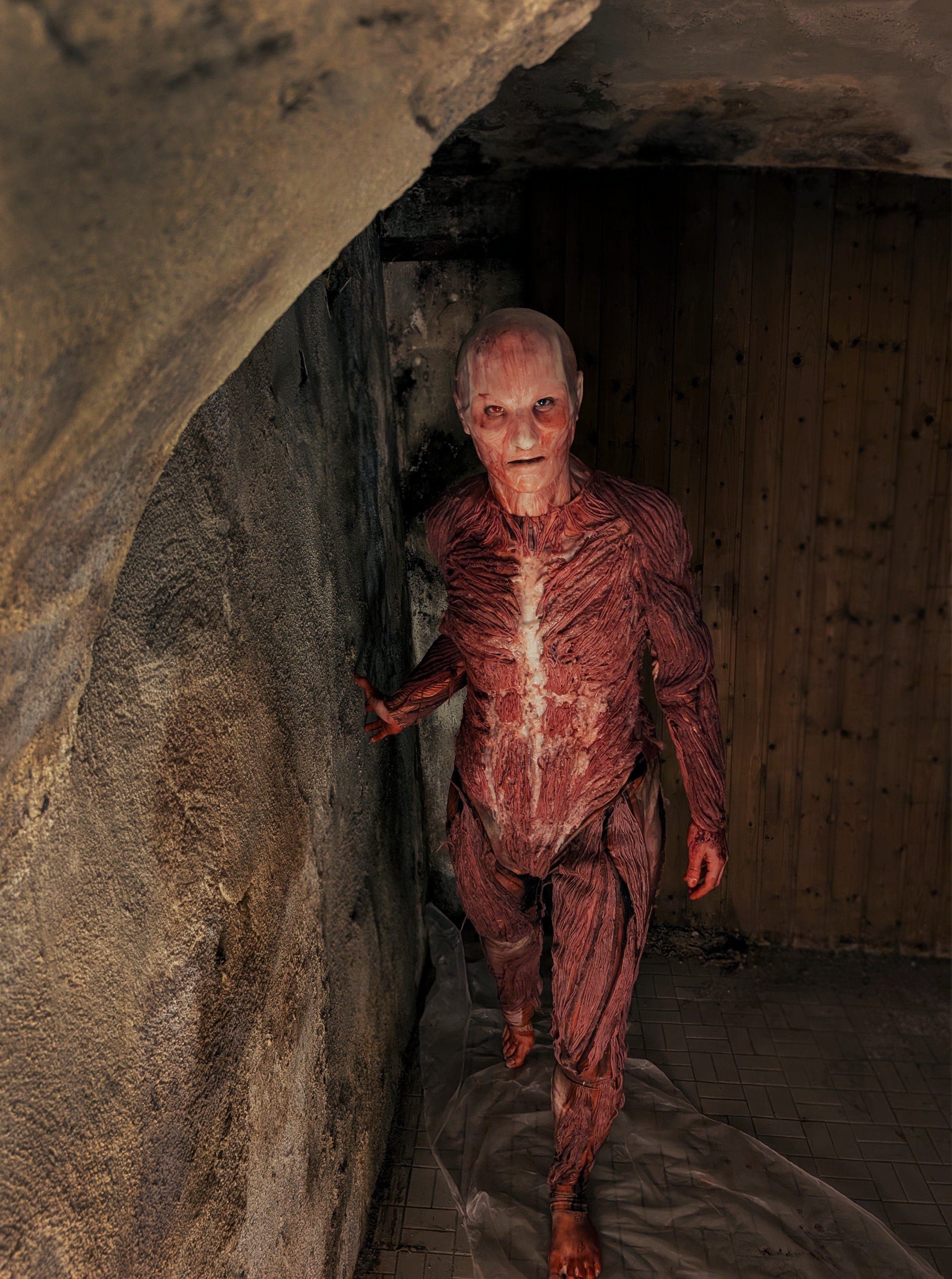 Image: https://us.v-cdn.net/5020761/uploads/editor/39/25l5tkdkt13y.png