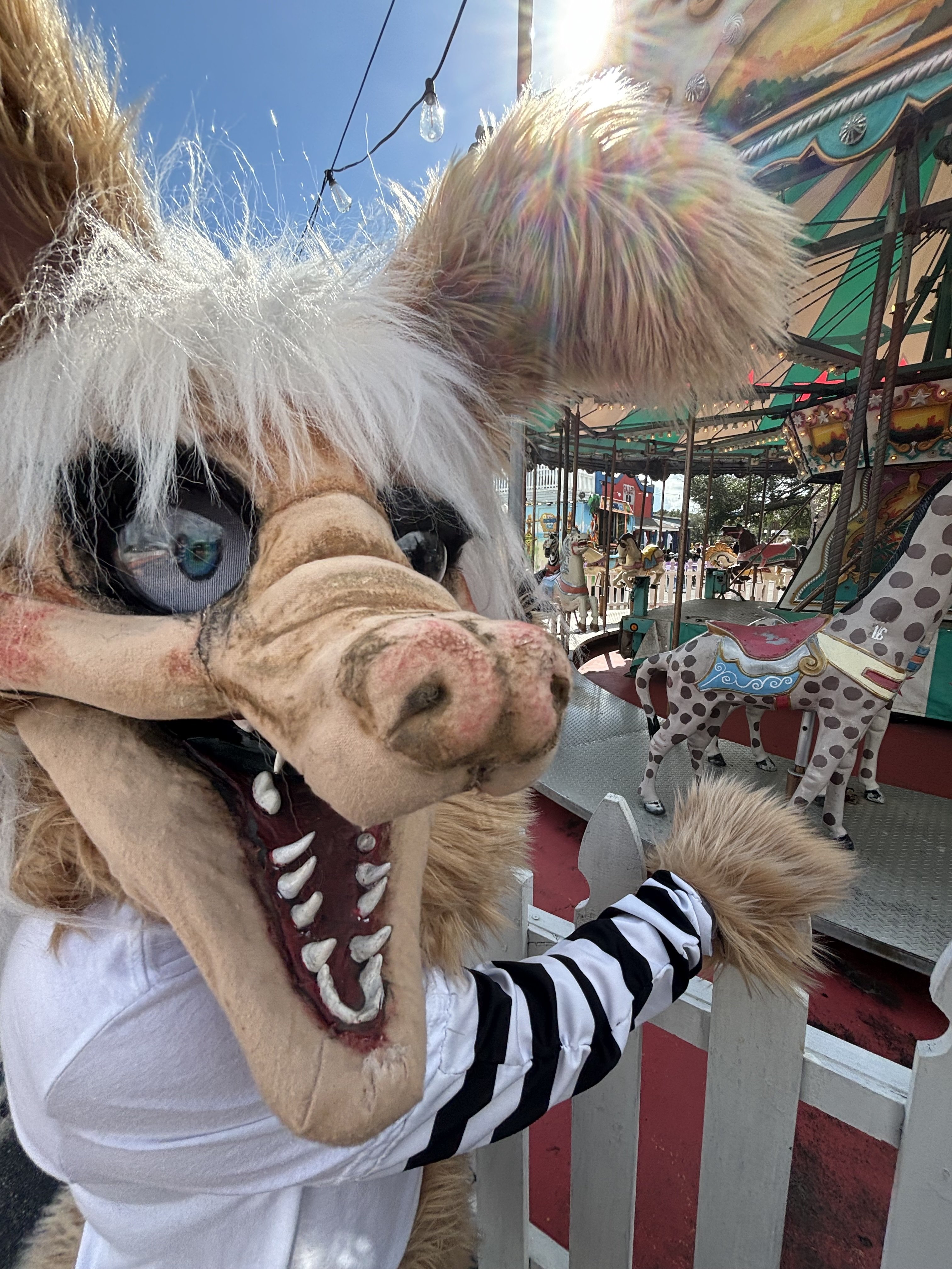 Image: https://us.v-cdn.net/5020761/uploads/editor/4h/idumyi1yakyk.jpg