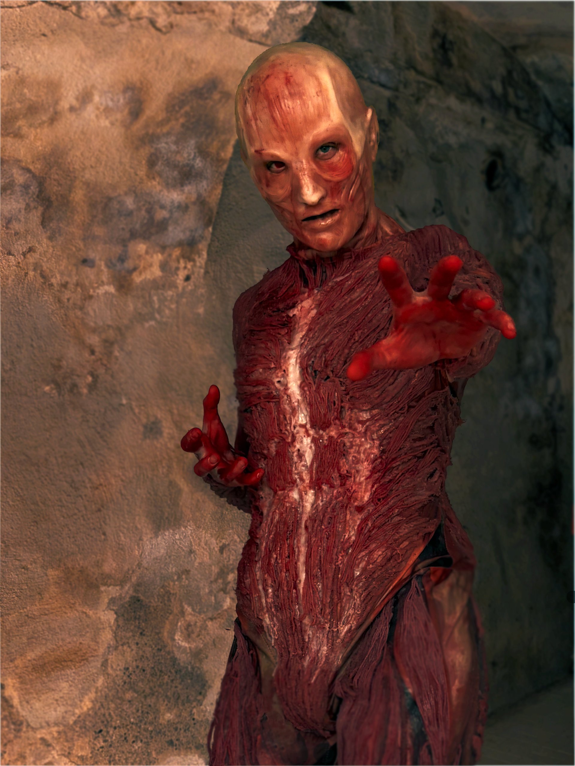 Image: https://us.v-cdn.net/5020761/uploads/editor/4k/3c6gcp4a6fmf.jpg