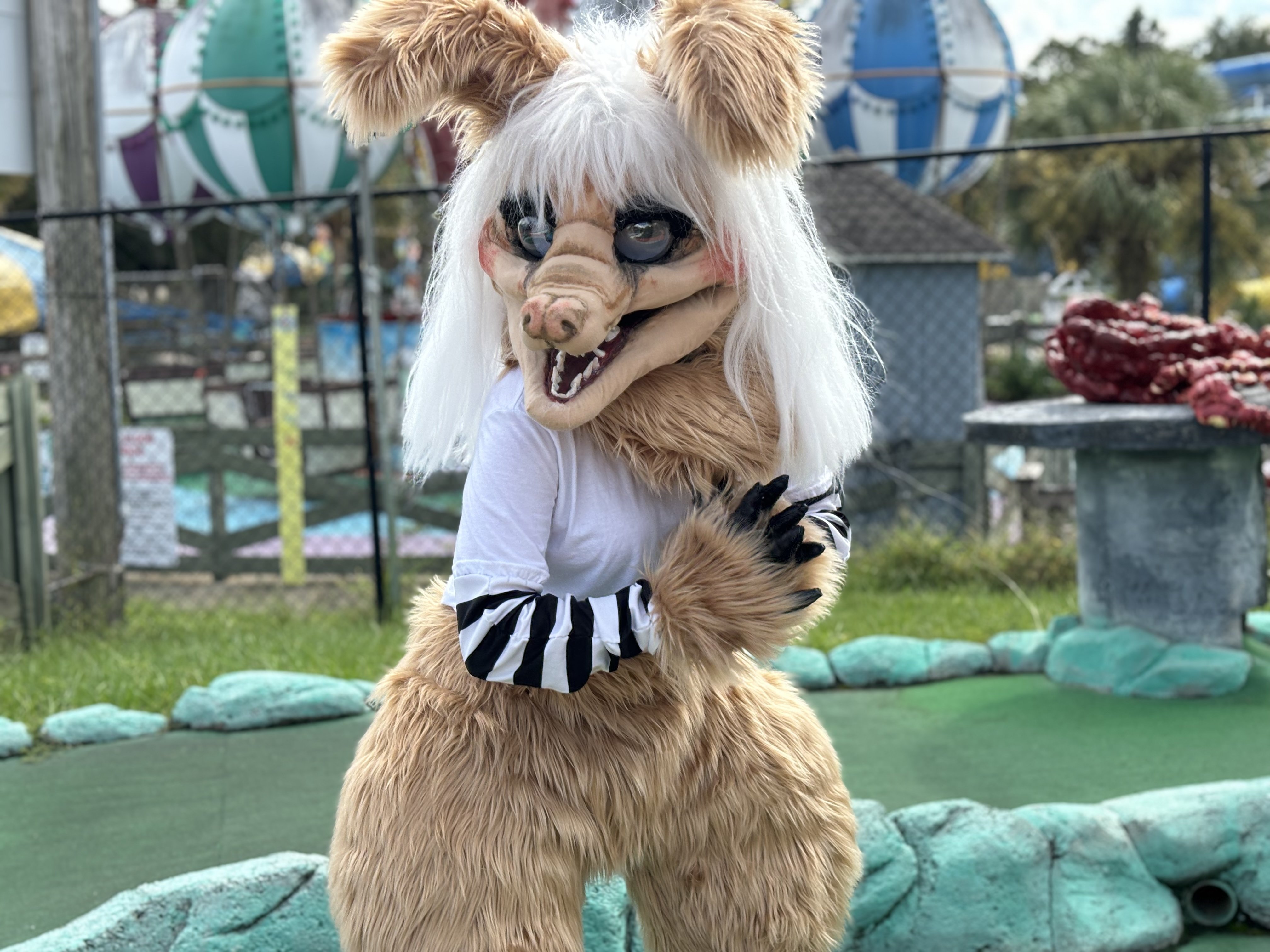 Image: https://us.v-cdn.net/5020761/uploads/editor/d5/7i53cg8pb4kw.jpg