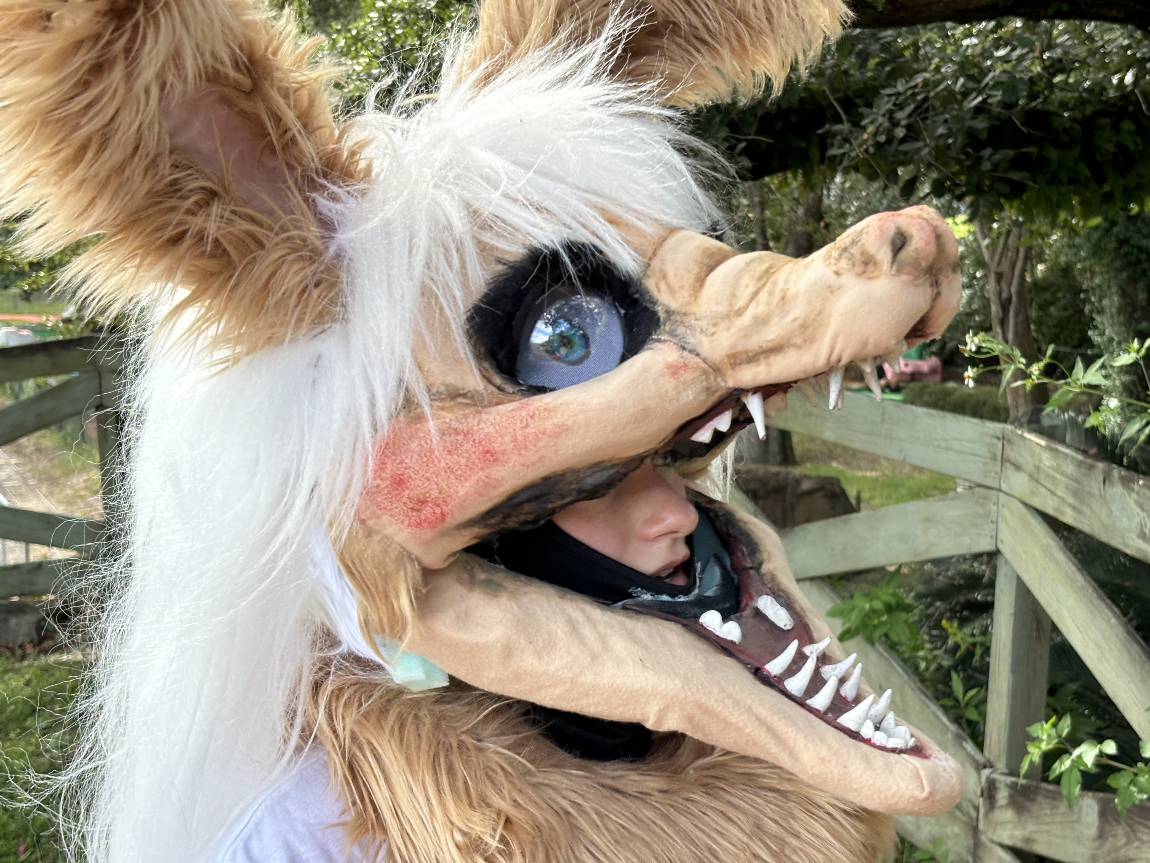 Image: https://us.v-cdn.net/5020761/uploads/editor/kf/qu3etmc5bvml.jpg