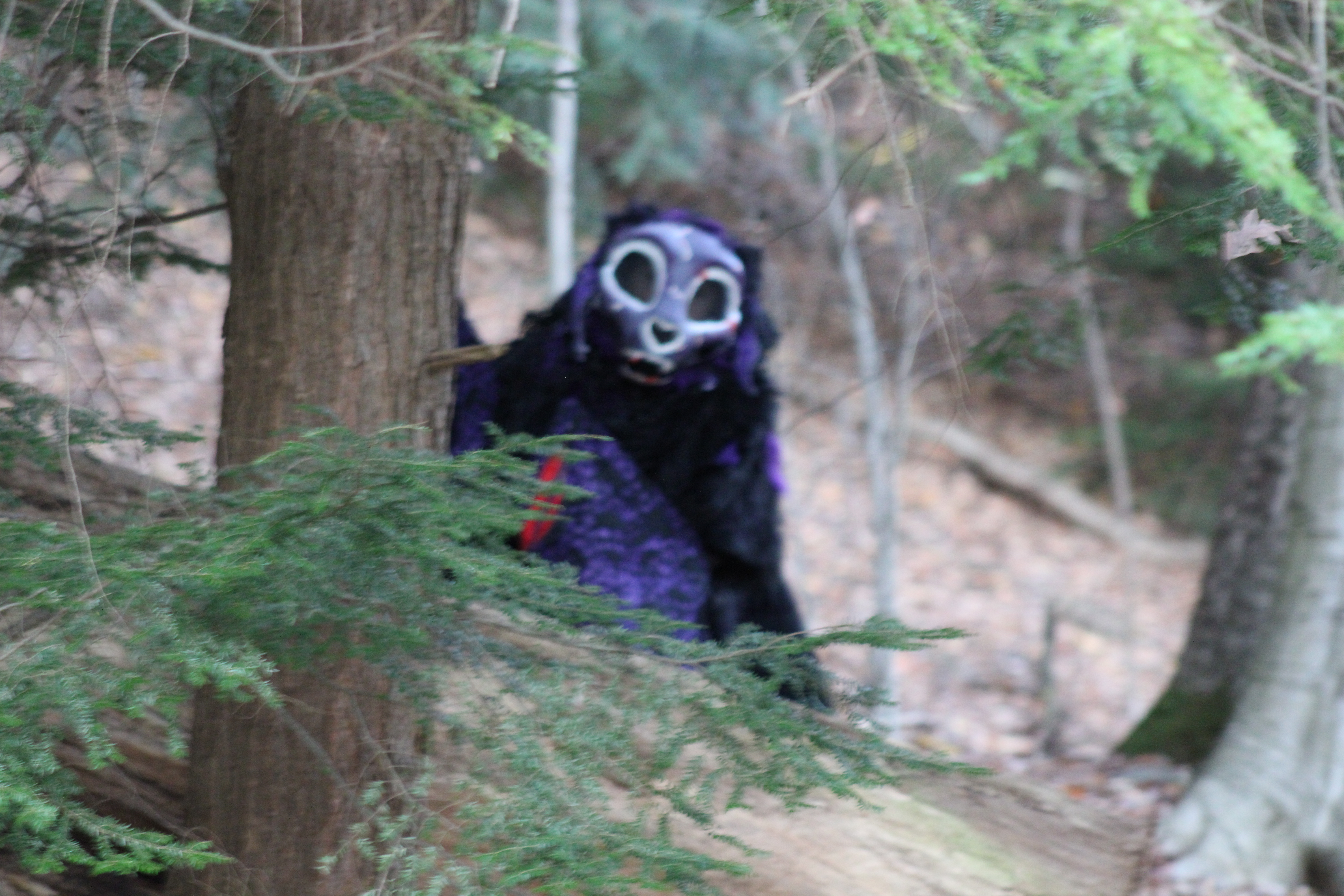 Image: https://us.v-cdn.net/5020761/uploads/editor/kr/v4fjpecik60f.jpg