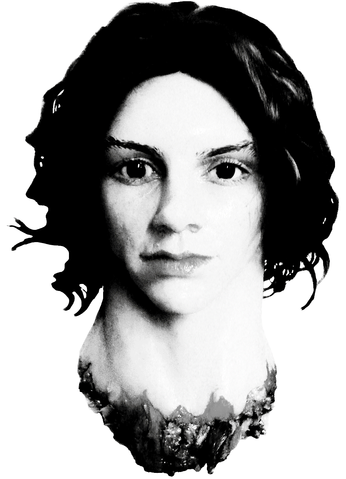 Image: https://us.v-cdn.net/5020761/uploads/editor/lc/9fhdzpgiqb1u.gif