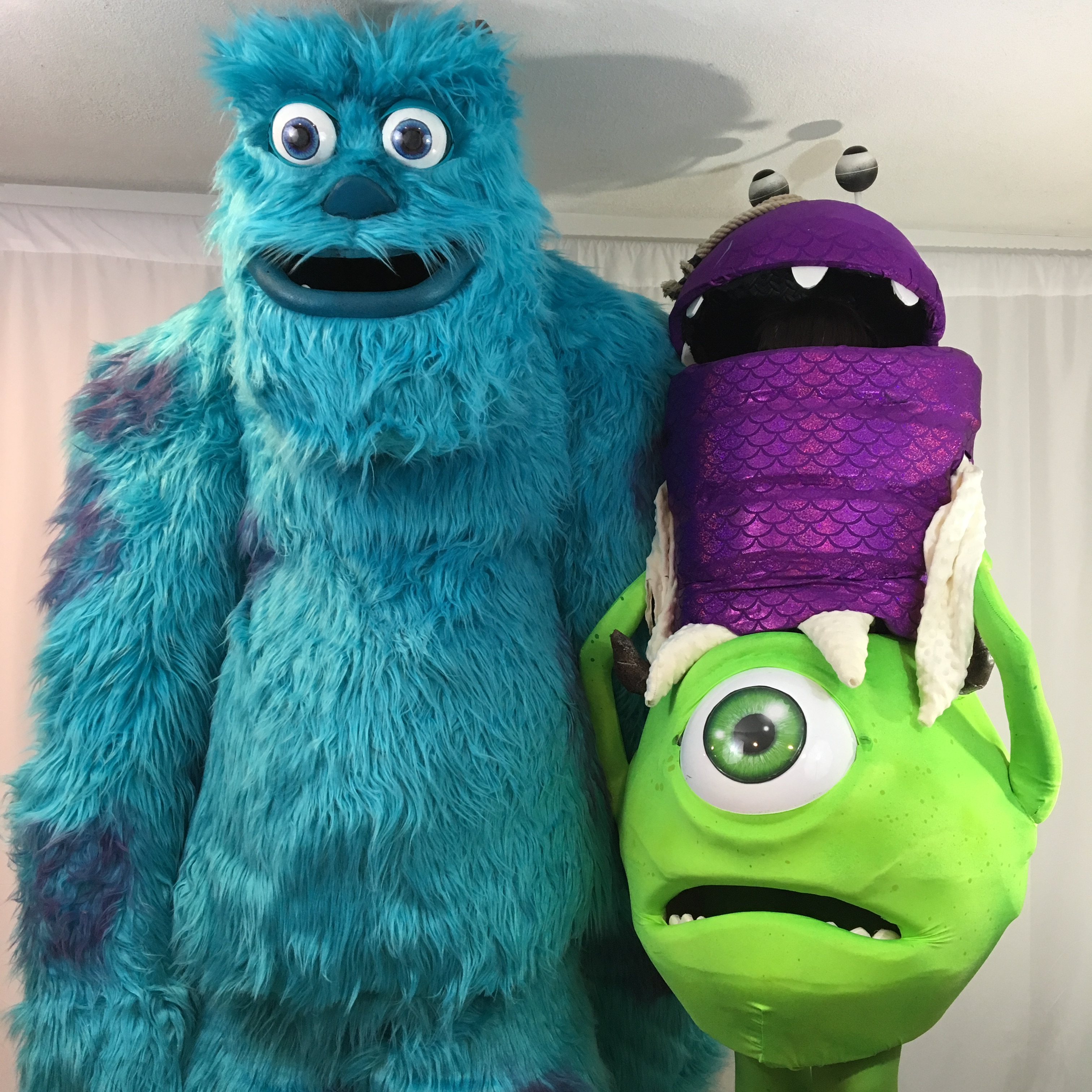 Sully And Mike Costume