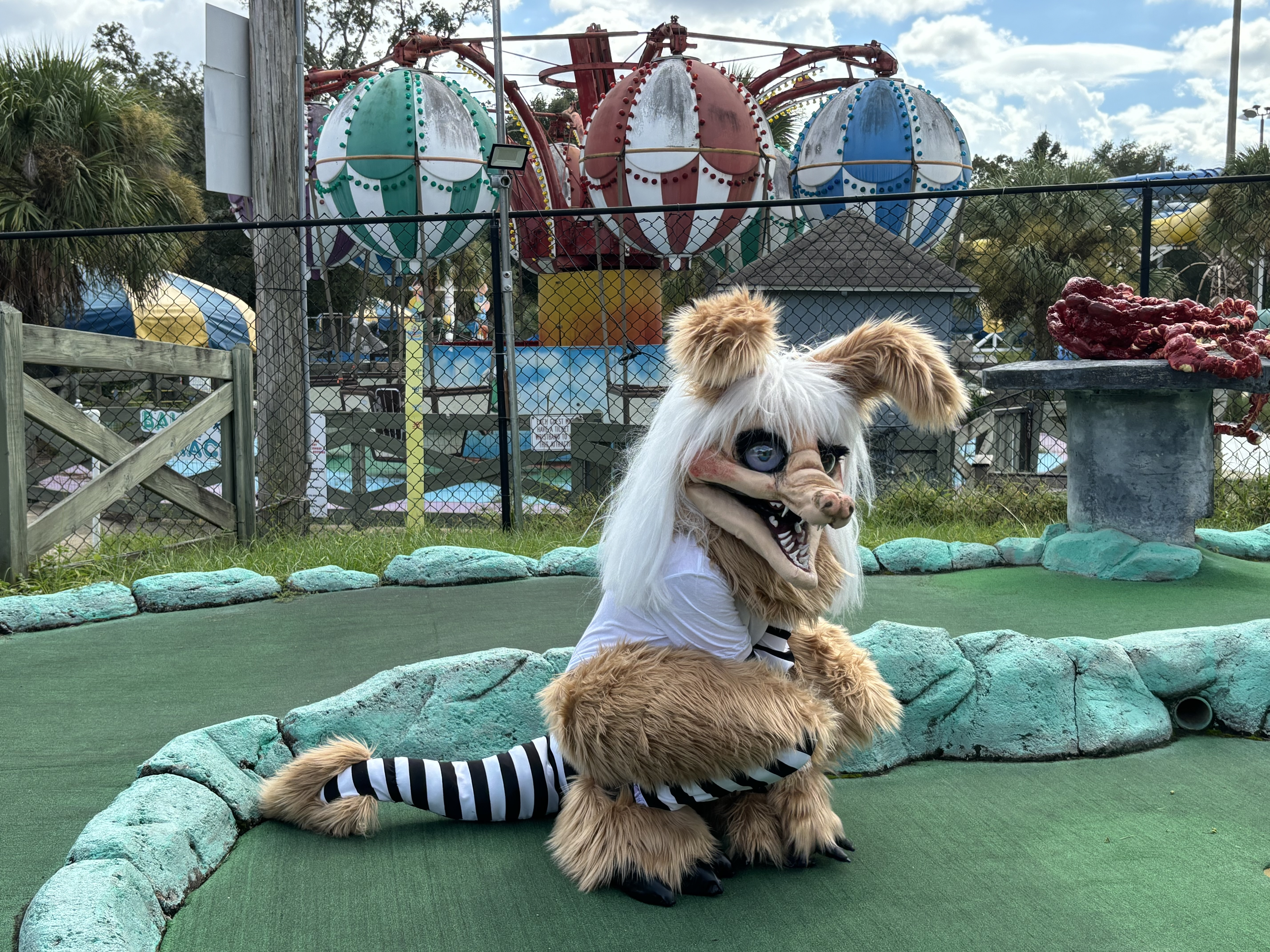 Image: https://us.v-cdn.net/5020761/uploads/editor/mi/jqf8m7rlbfz5.jpg