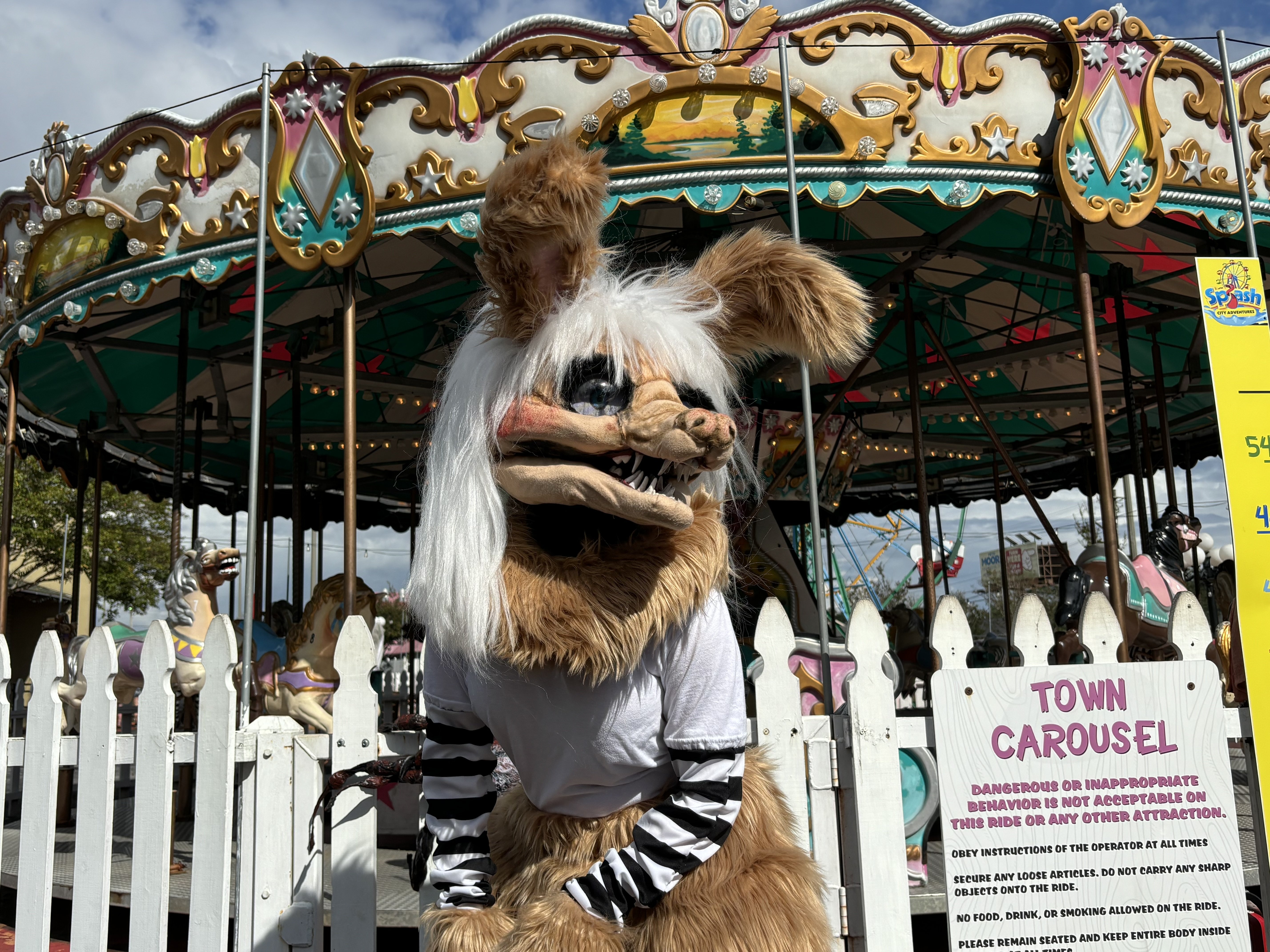 Image: https://us.v-cdn.net/5020761/uploads/editor/qa/5d60lq6m0p2a.jpg