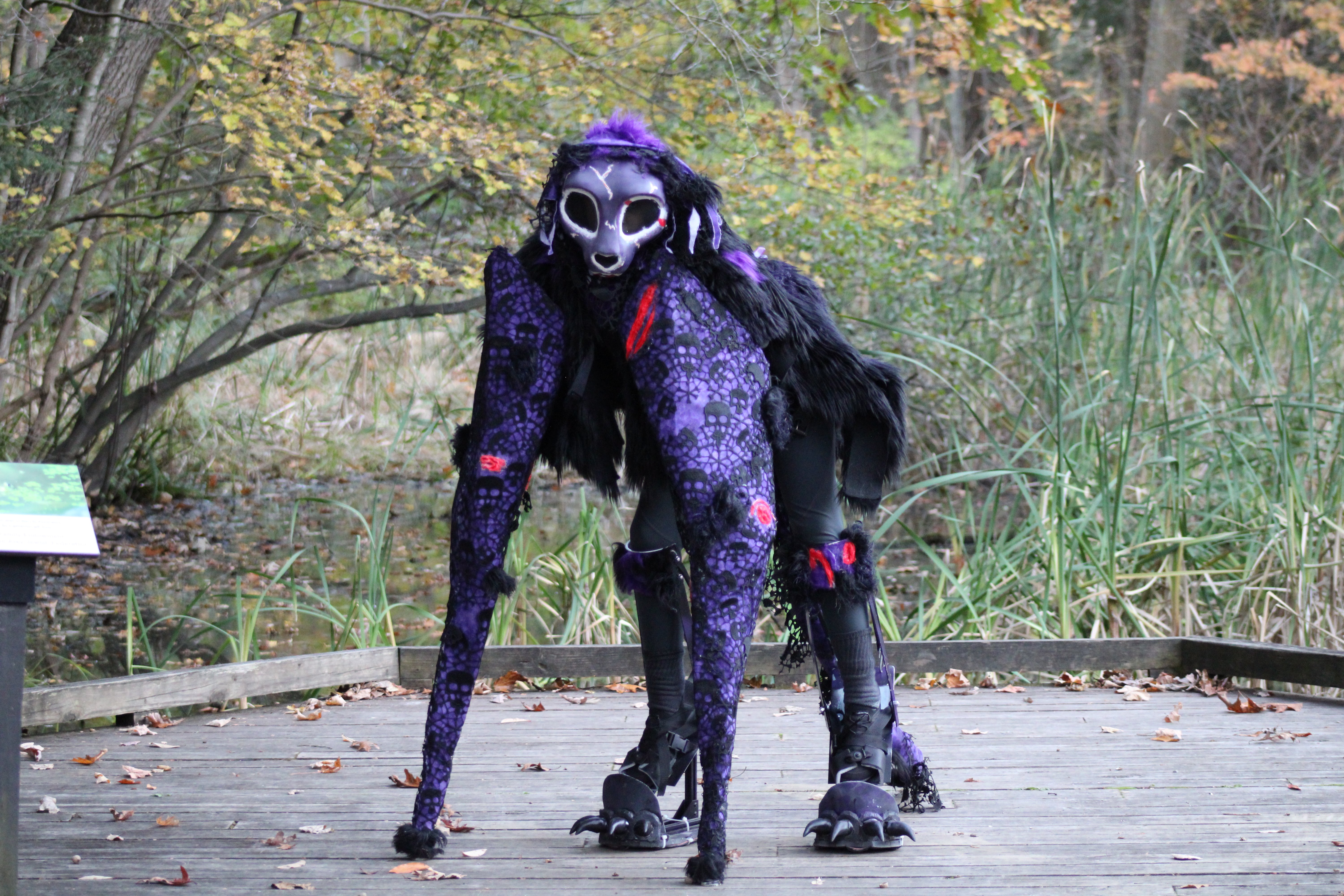 Image: https://us.v-cdn.net/5020761/uploads/editor/rv/1yog1tpozluf.jpg