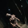Shell-D Cosplay