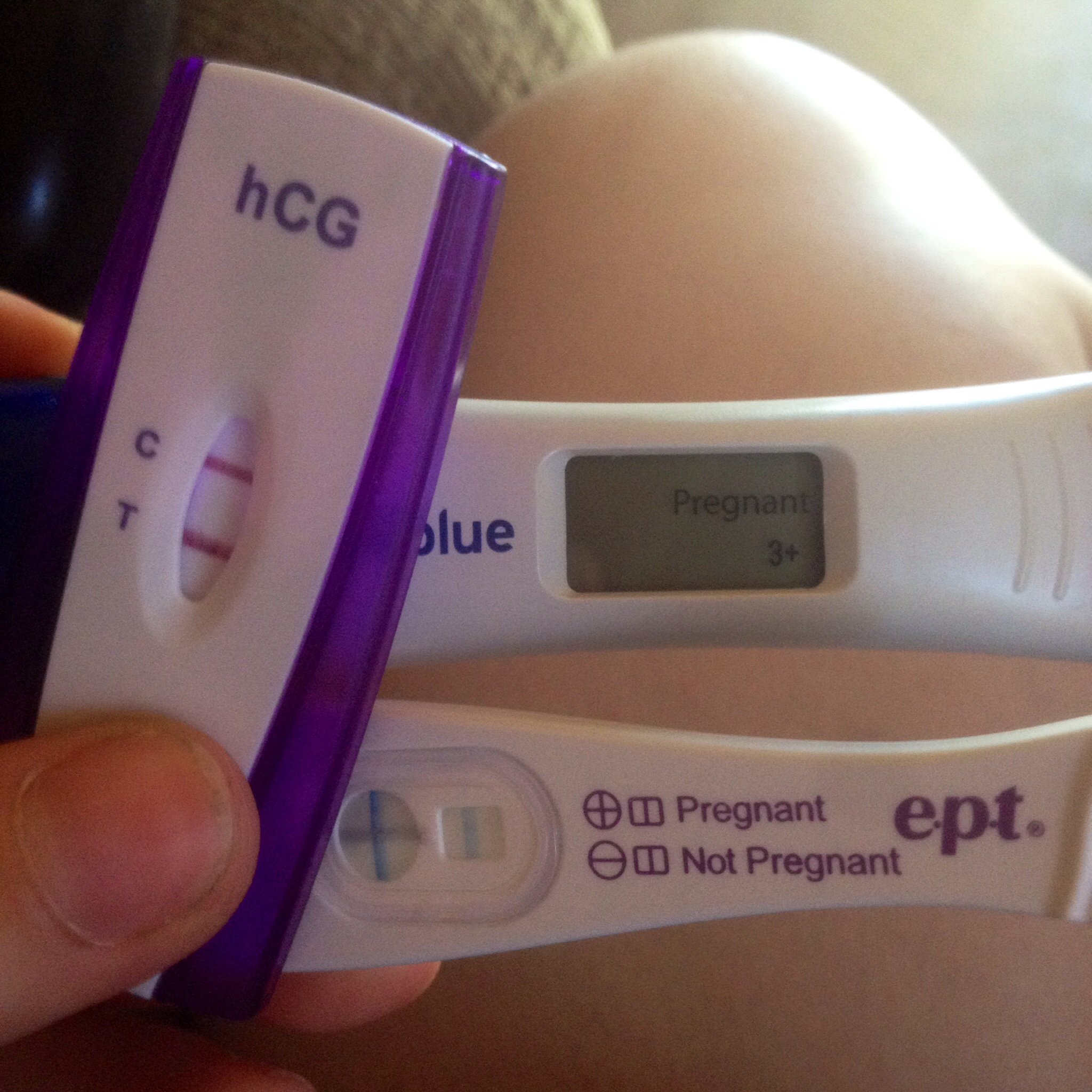 pregnant negative test