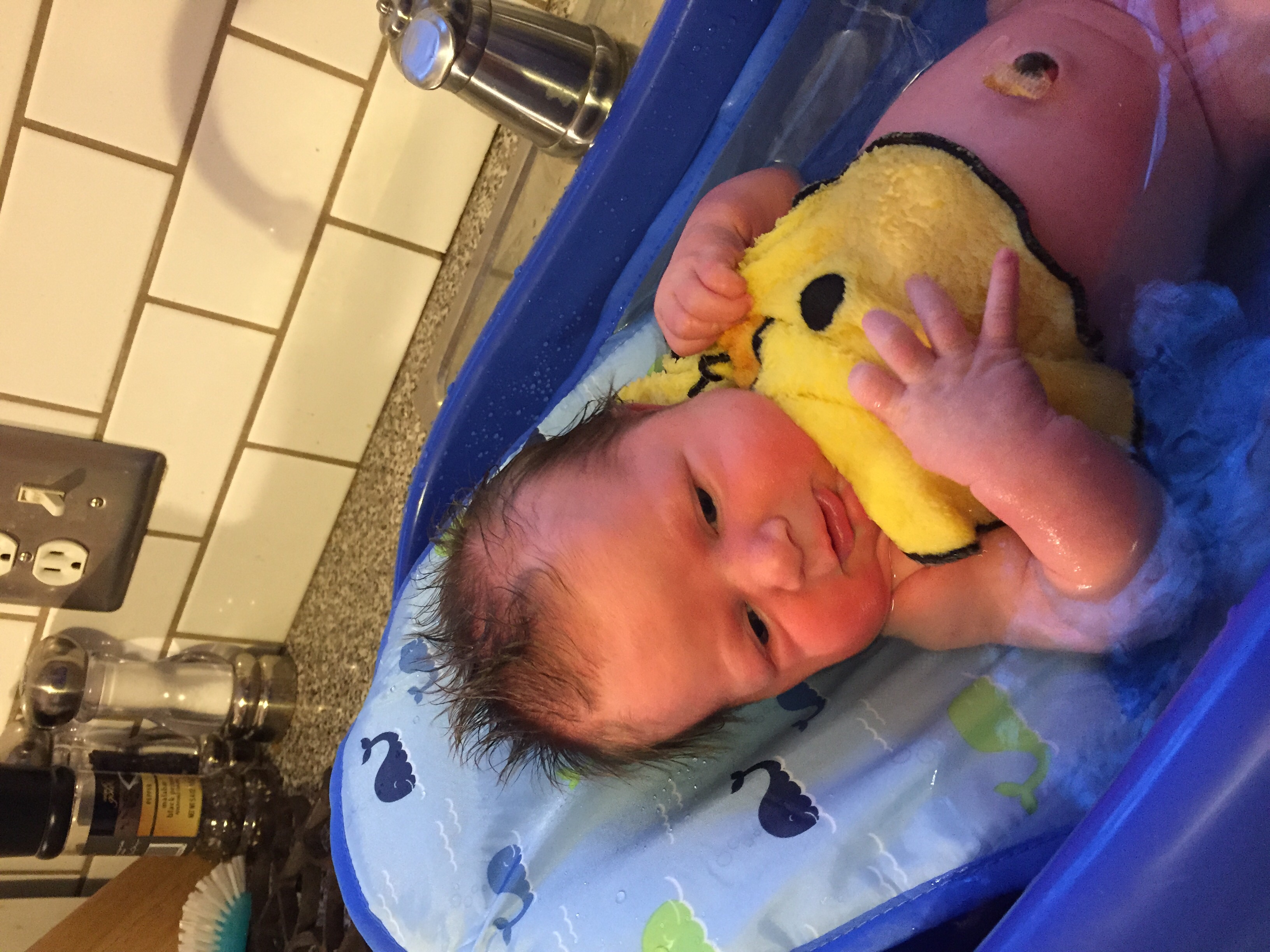 Bathing baby/umbilical cord — The Bump