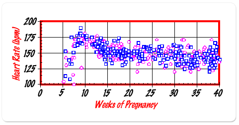 Fetal heart beat and sex