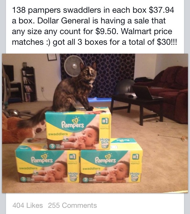 PSA Dollar General Diaper Sale / Price Match — The Bump