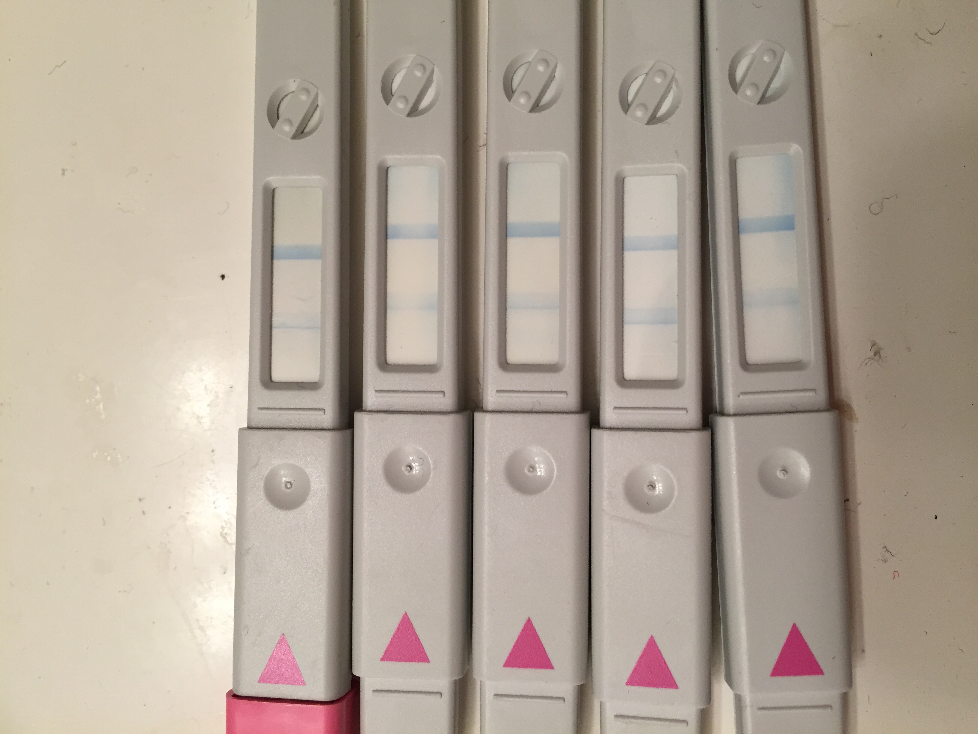 OPK+++++ after ovulation — The Bump