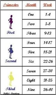 pregnancy calendar countdown