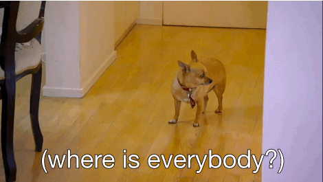 Image: https://us.v-cdn.net/5020794/uploads/editor/0h/98v0n10tyt71.gif