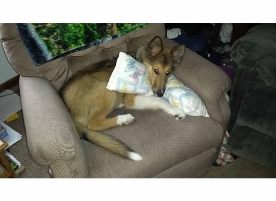 Image: https://us.v-cdn.net/5020794/uploads/editor/bg/3frkz4wjntj4.jpg