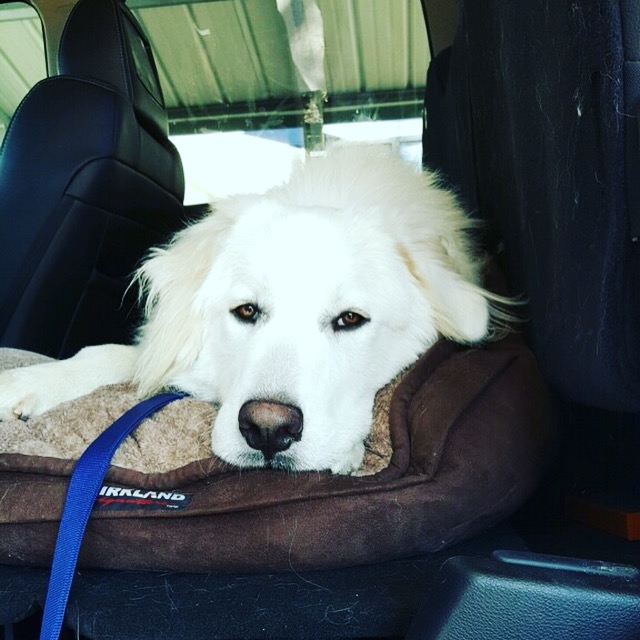 Image: https://us.v-cdn.net/5020794/uploads/editor/fe/l7dbwhyhrh1q.jpg