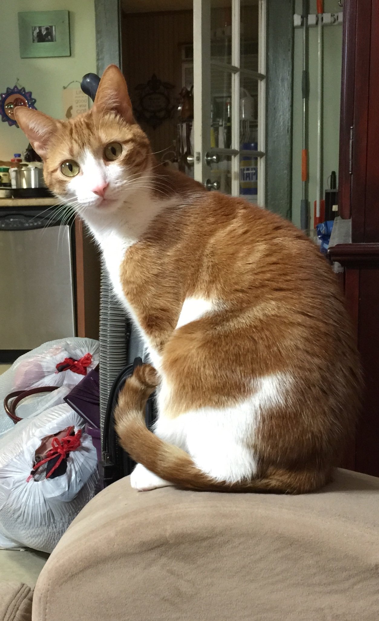 Image: https://us.v-cdn.net/5020794/uploads/editor/g6/vrftl1qgeb24.jpg