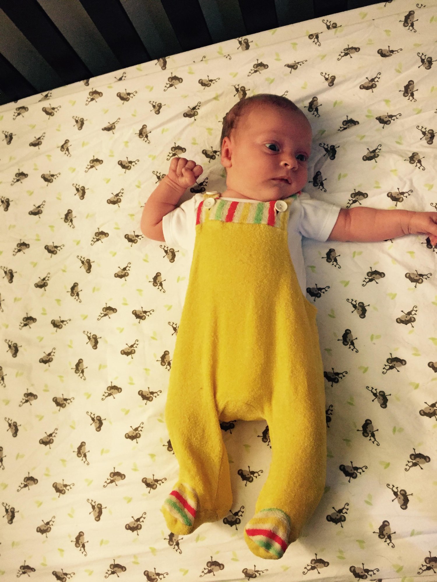 HDBD - Hump Day Baby Day! — The Bump