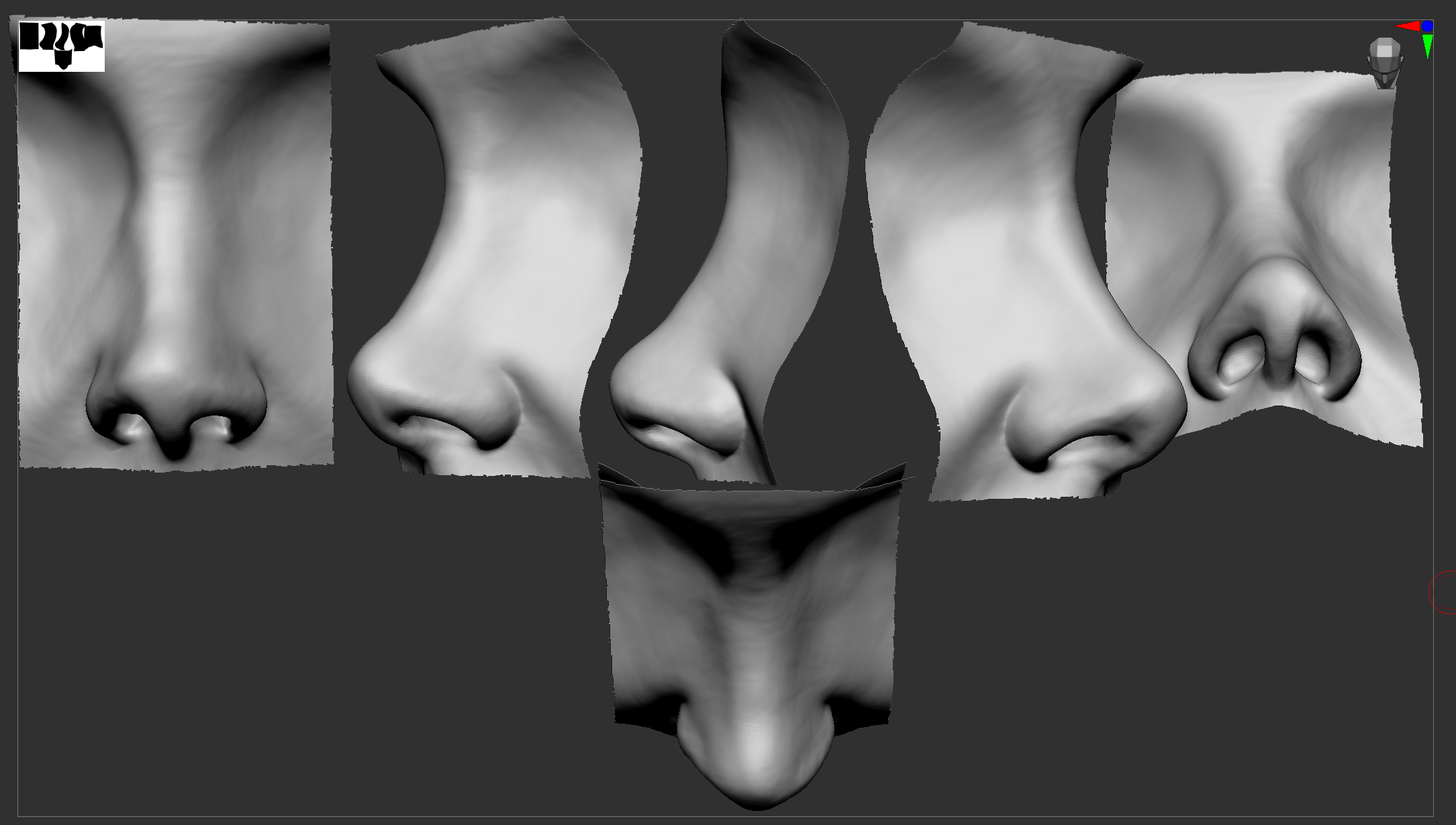 nose.png