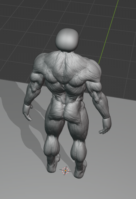 4 Body Muscles back view (rough).png