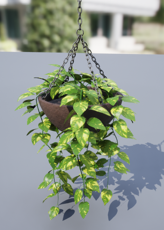 Pothos1.png