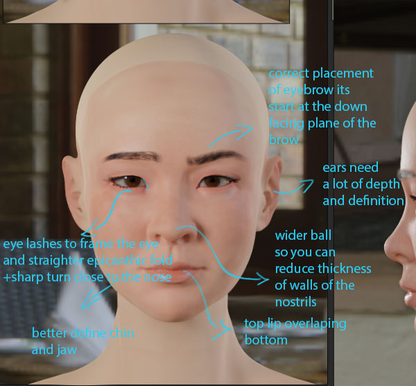 WIP/Feedback needed] Female head sculpt - Focused Critiques