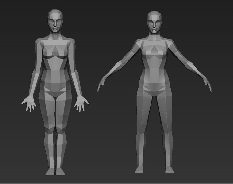 Anatomy/pose help (sculpting/rigging pose) — polycount