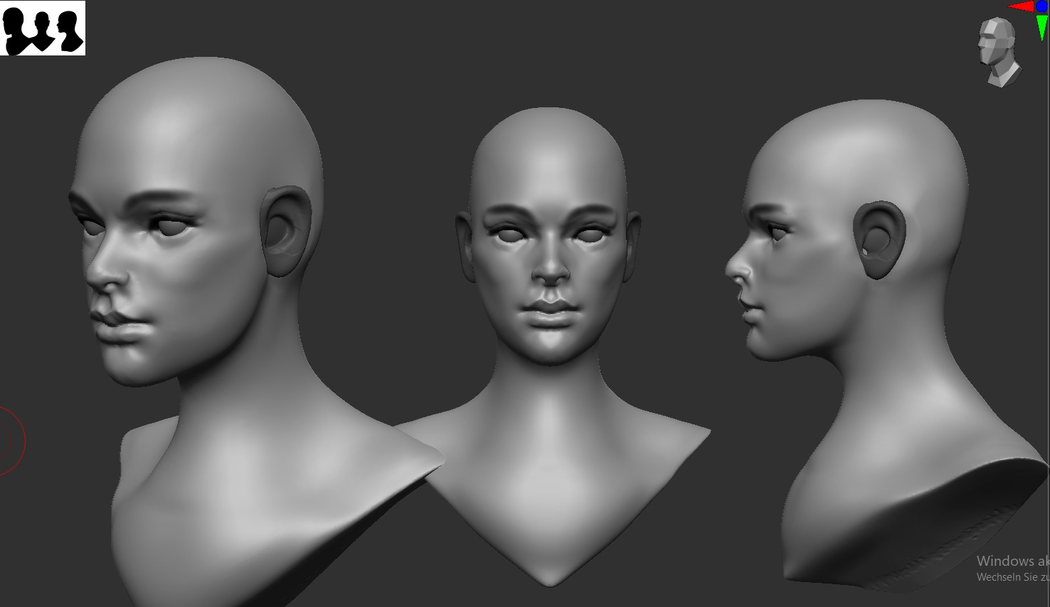 Woman Face Anatomy