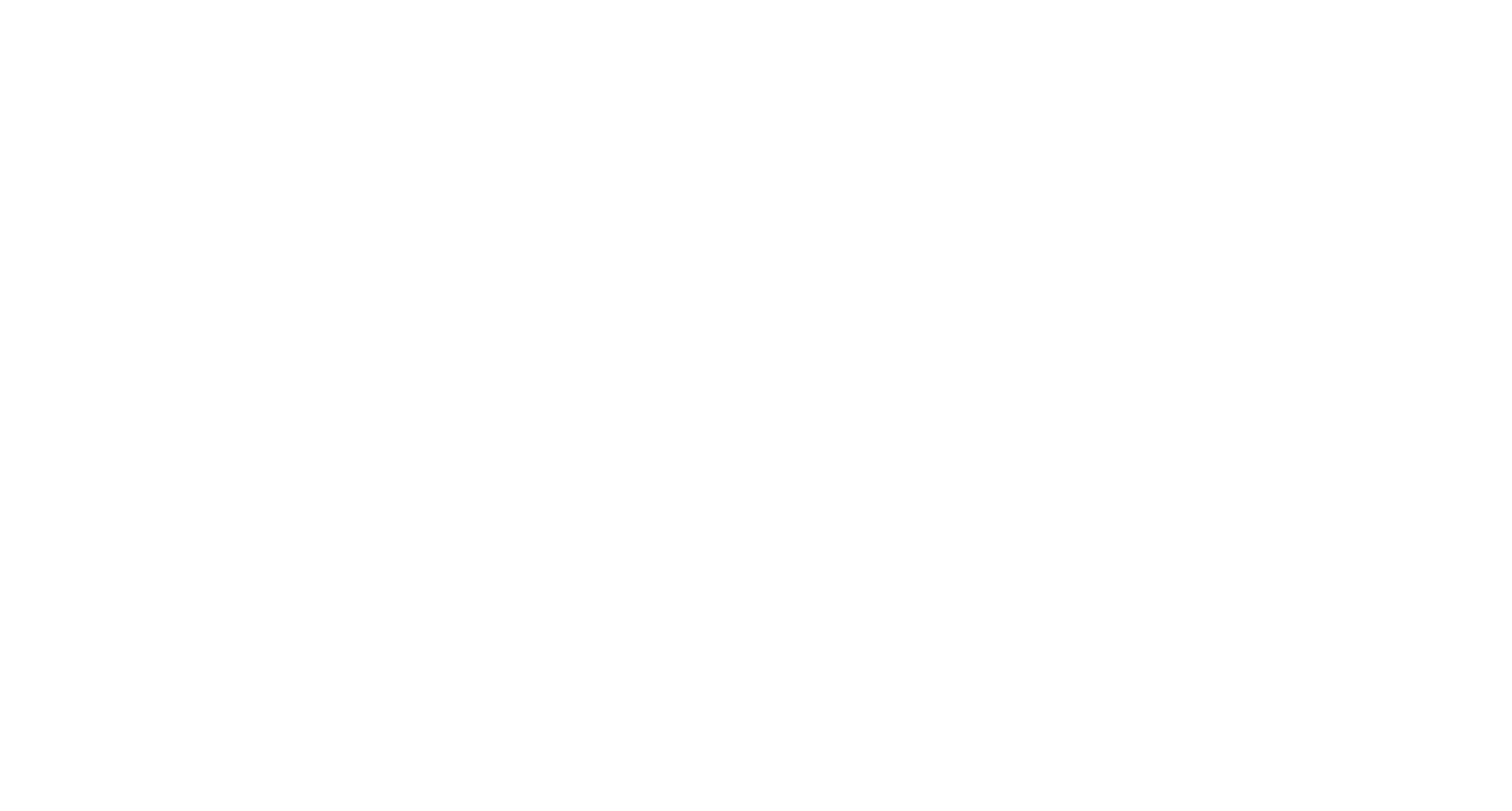 K9-Digital-Logo-White-Transparent.png