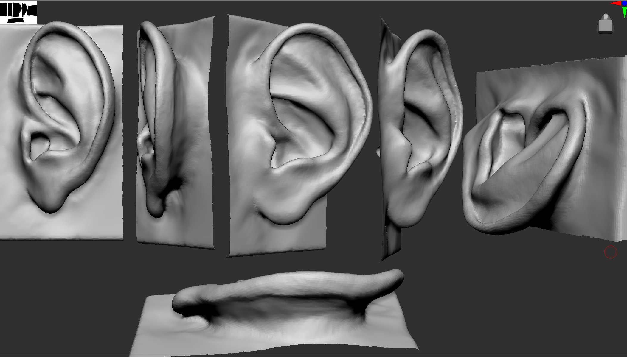 ear.png