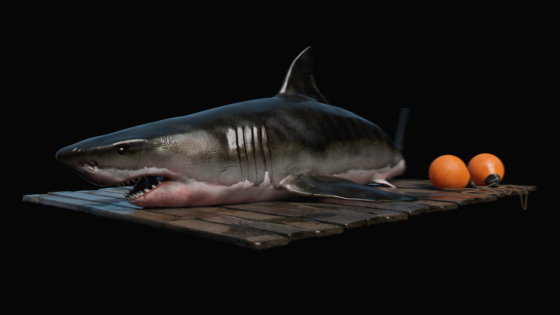 Shark-still-raw.png