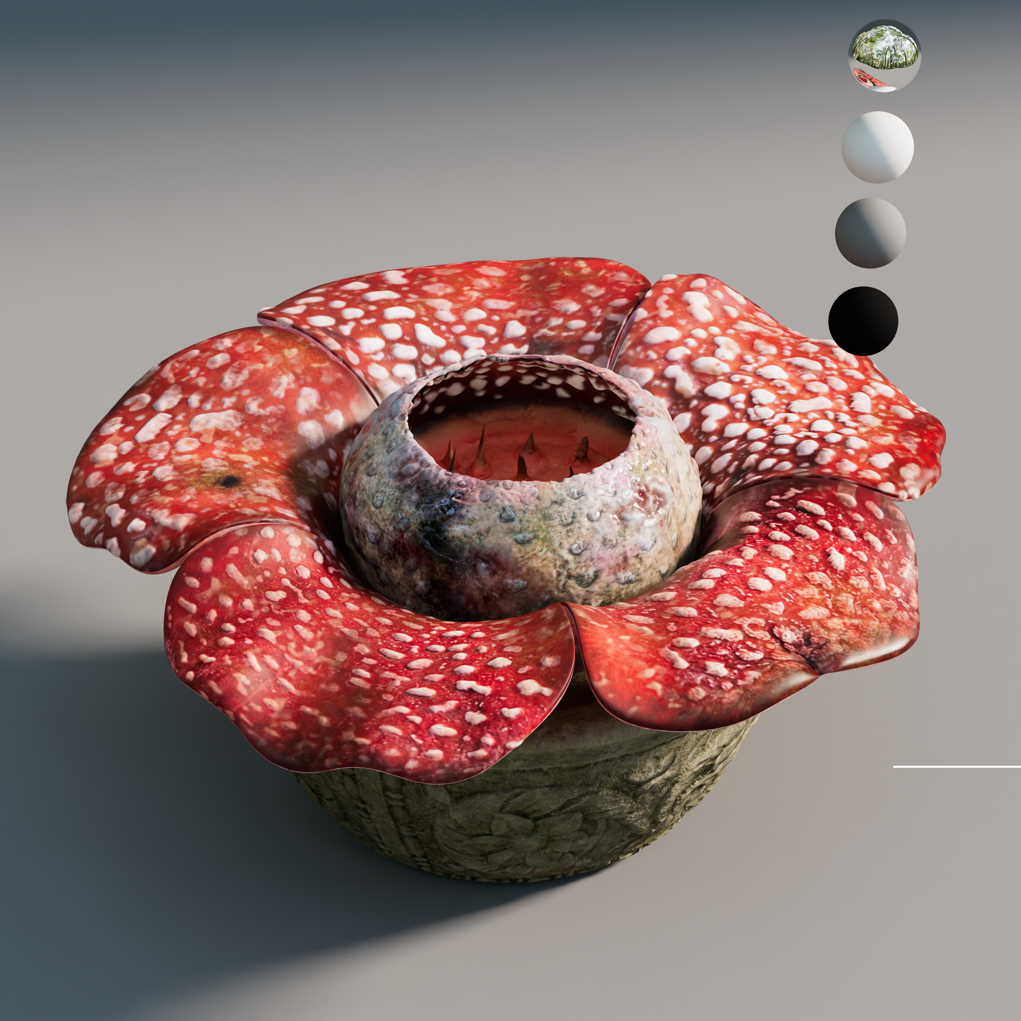 rafflesia png