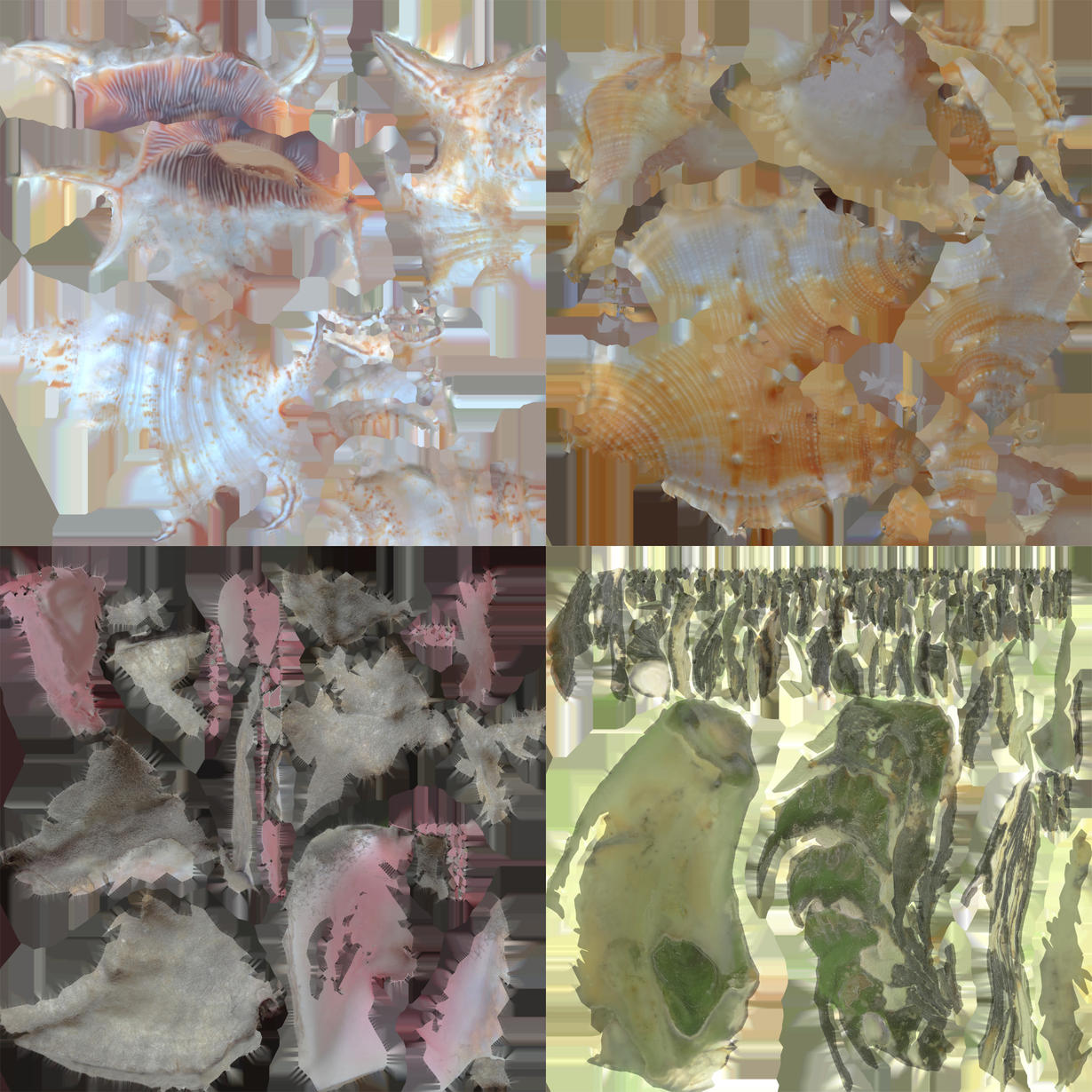 [UE4/Unity] Photoscanned seashells — polycount