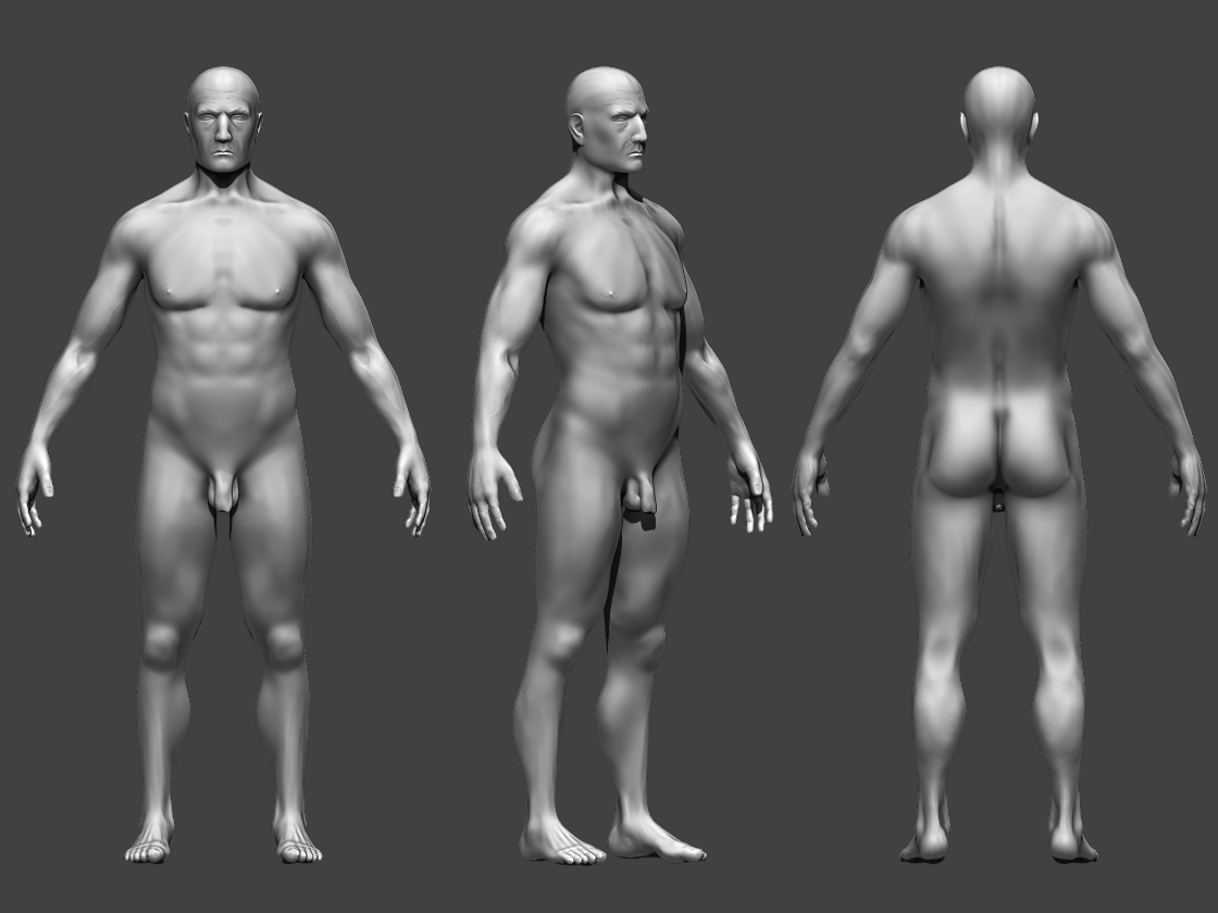 Male_anatomy.jpg
