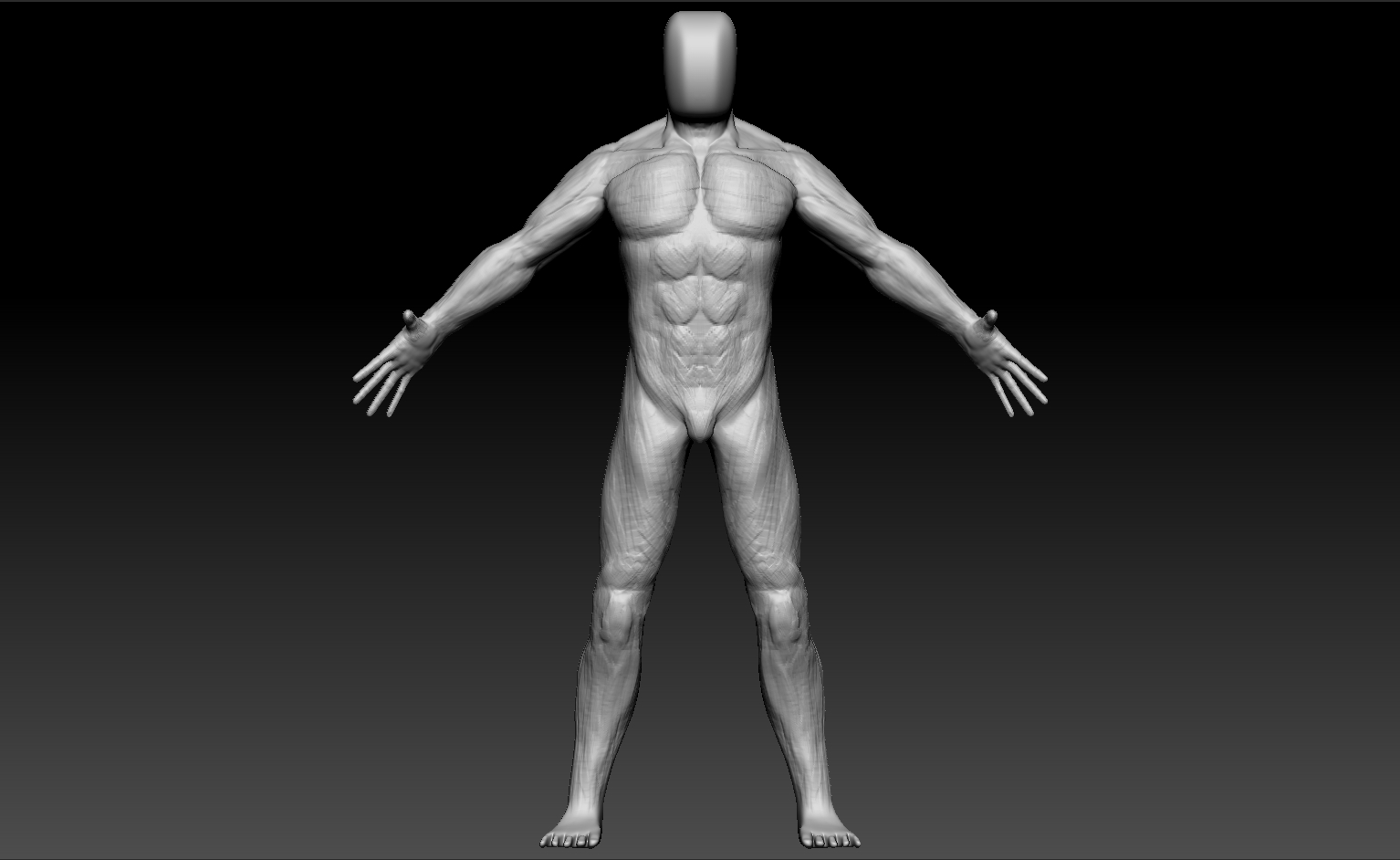 3D Body Modelling Practice, Beginner Level — polycount