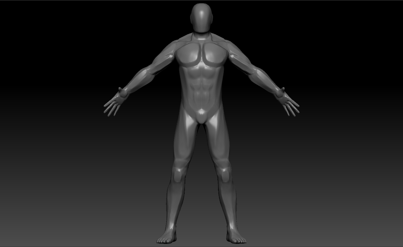 3D Body Modelling Practice, Beginner Level — polycount
