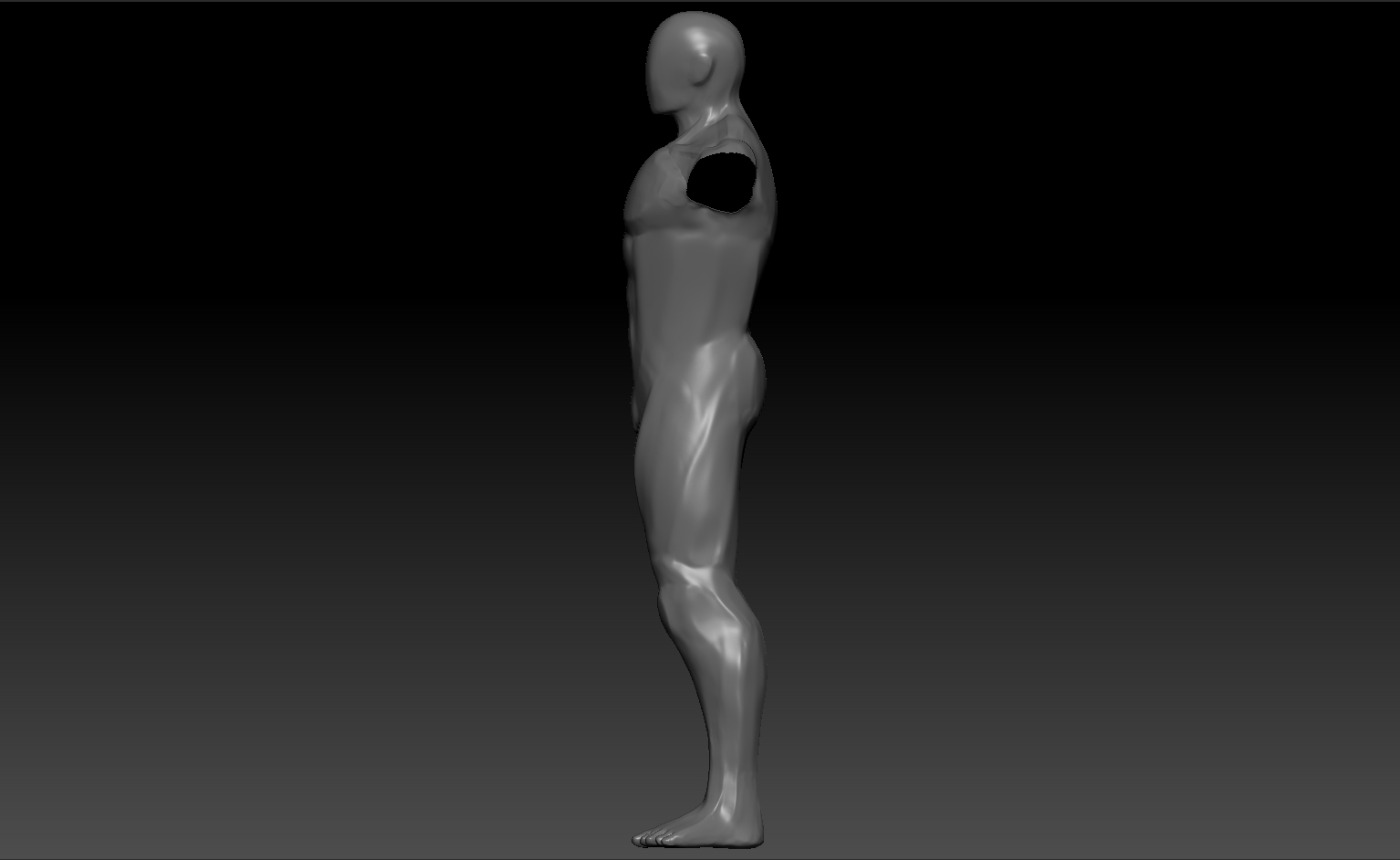 3D Body Modelling Practice, Beginner Level — polycount