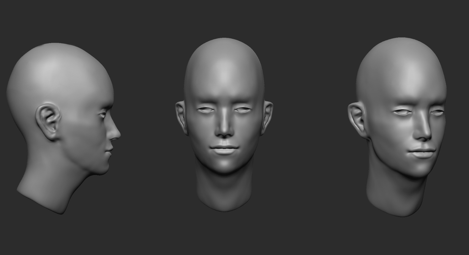 Male Head Sculpt 4 | 3D model