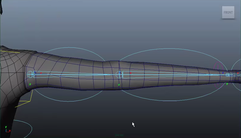 advanced skeleton maya rig too small