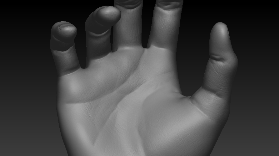 3dmotive hand anatomy in zbrush volume 1