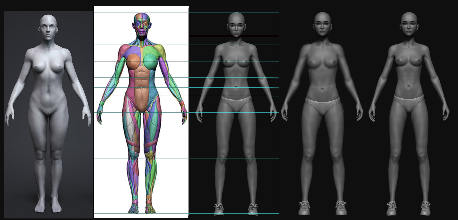 WIP] Female sculpt — polycount