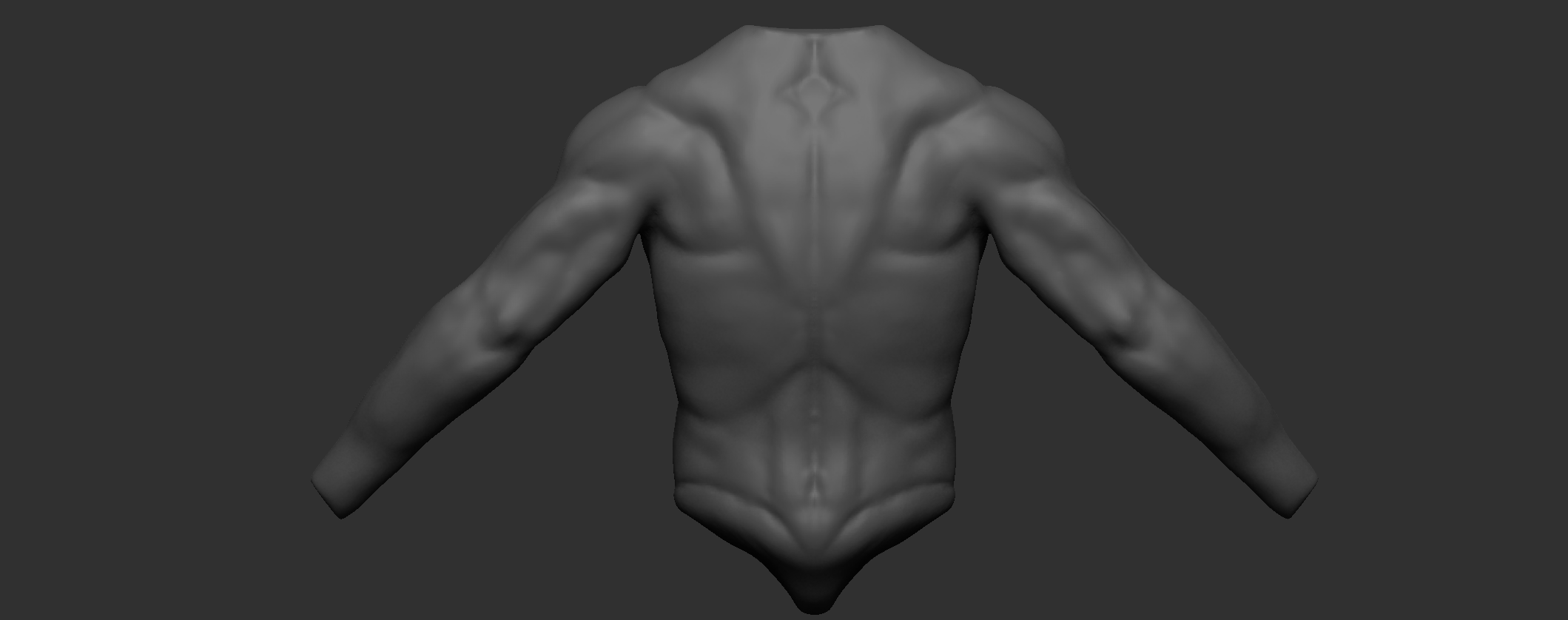 Male Torsoback Anatomy Critique Please — Polycount