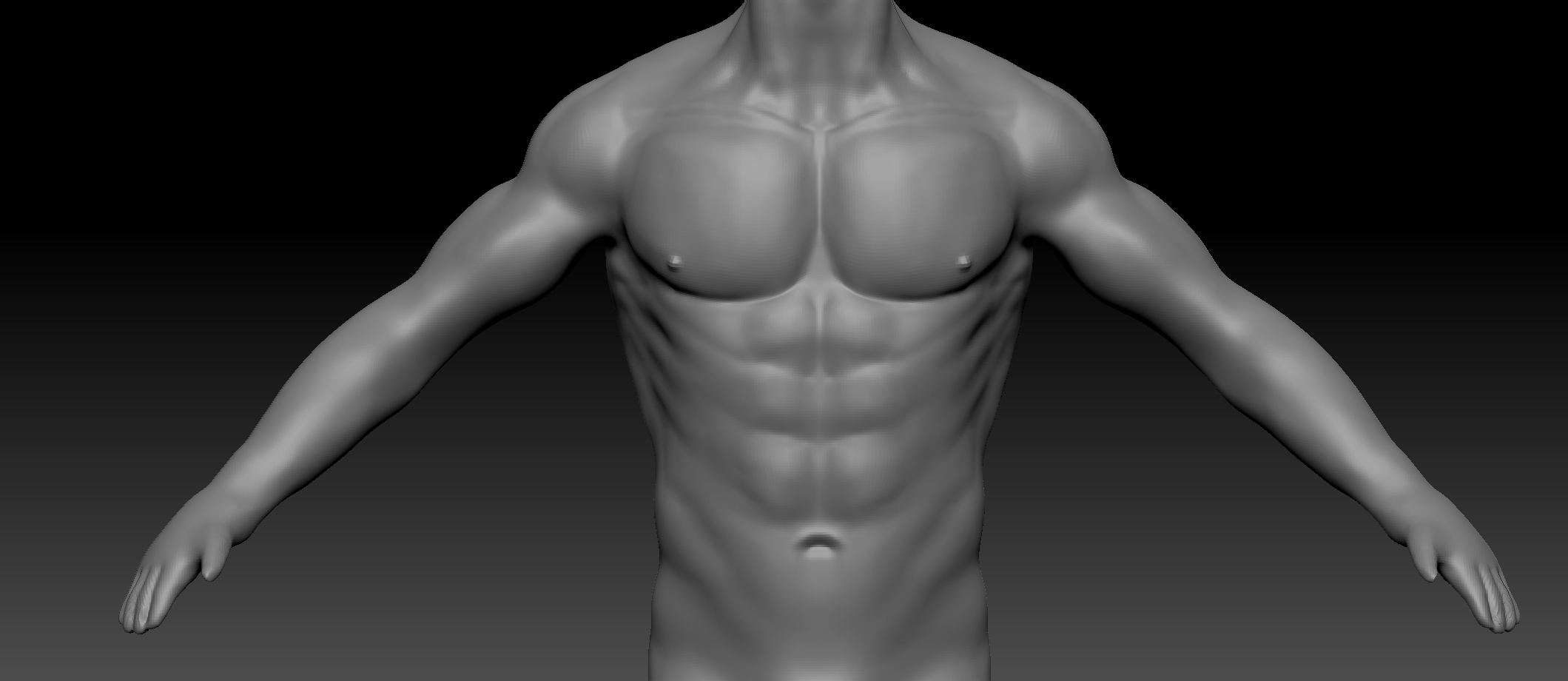 Male Torso Reference