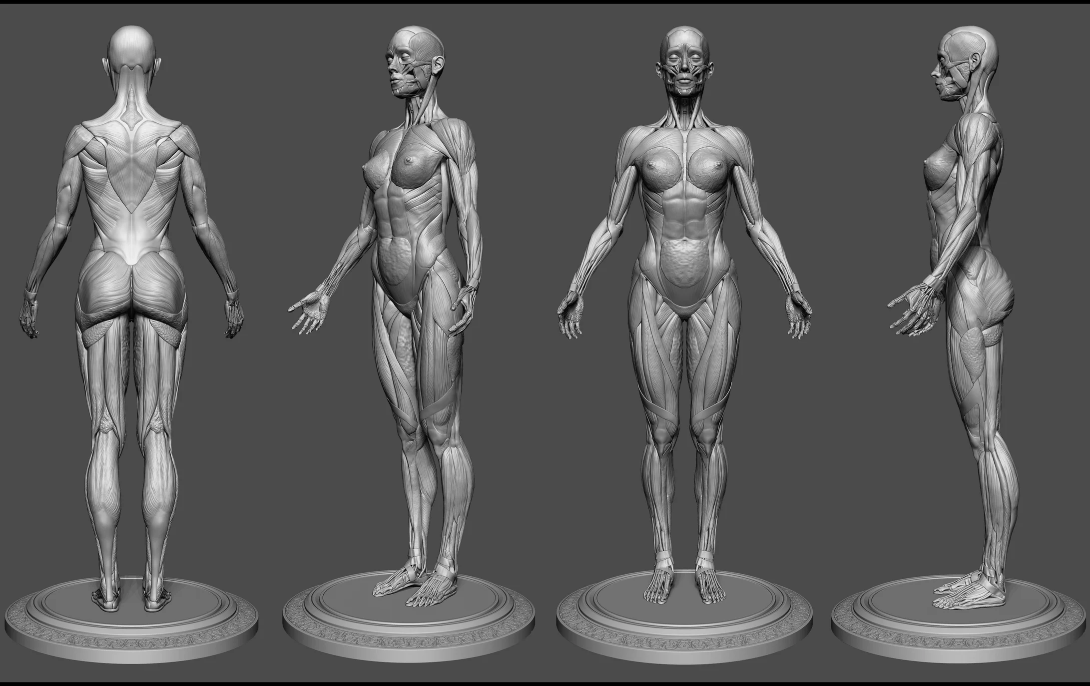 ArtStation - Sculpt 3D Female Body