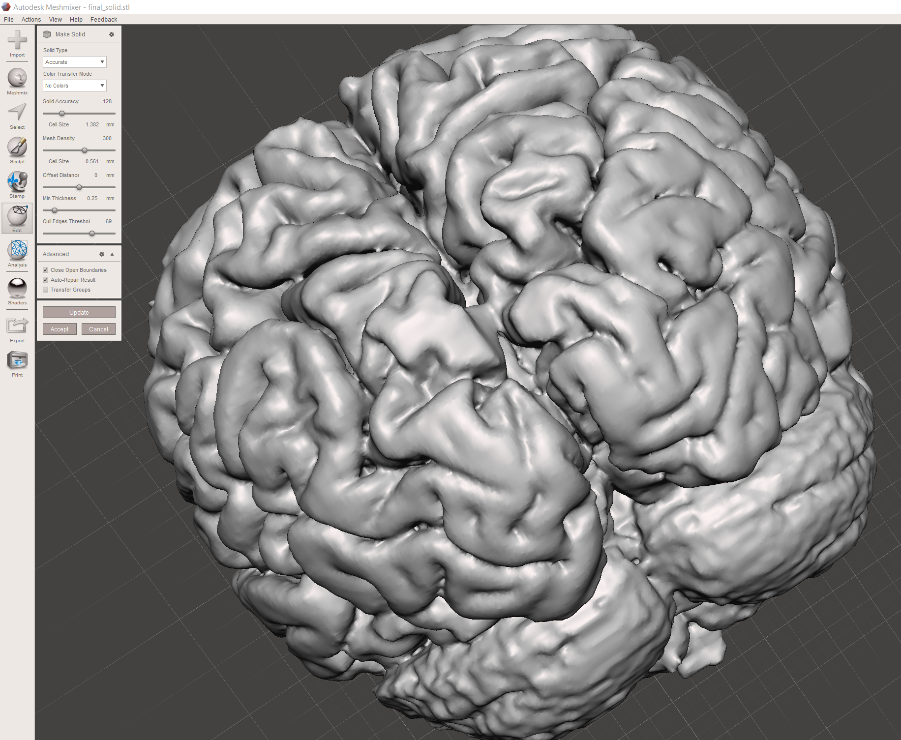 how to make a brain model