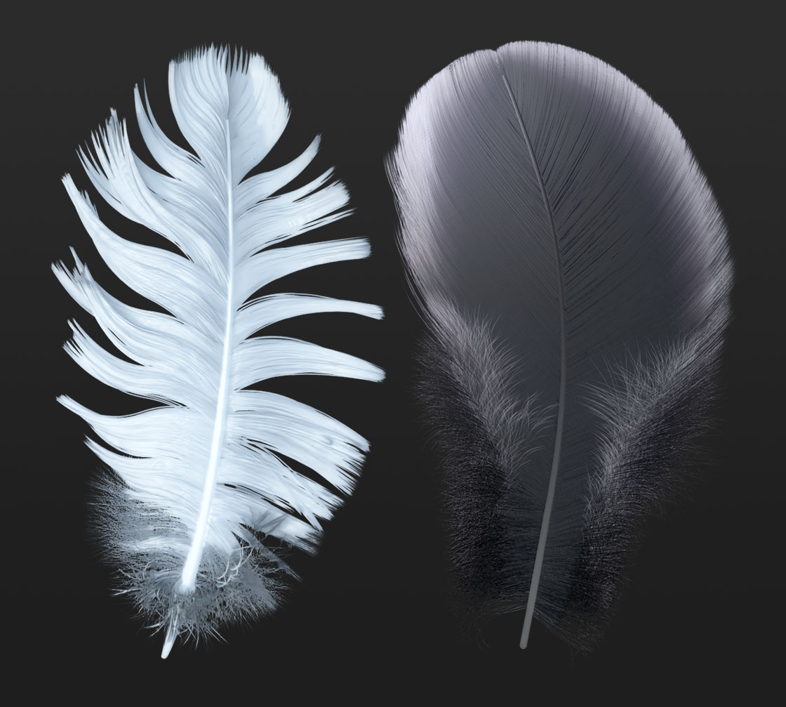 Texture painting, Feather texture, Texture paint